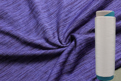 常壓陽離子可染聚酯纖維EASY CATIONIC DYEABLEPOLYESTER FIBRE