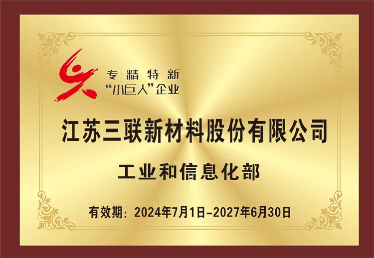 國(guó)家級(jí)專(zhuān)精特新小巨人企業(yè)